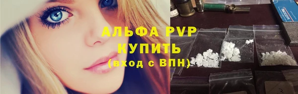 индика Покров