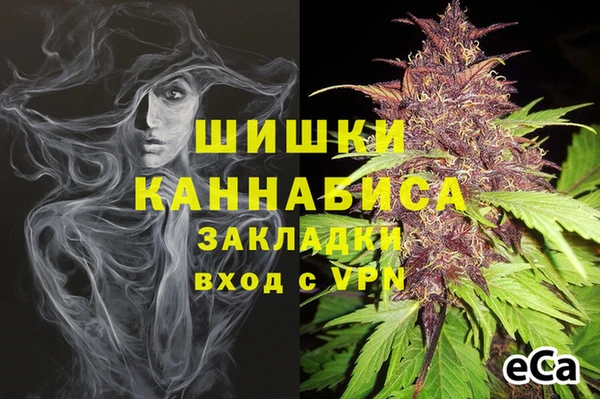 первитин Богданович