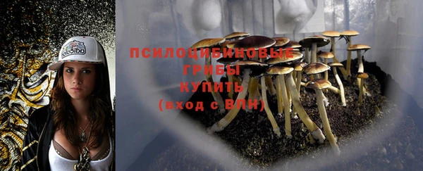скорость Богородицк