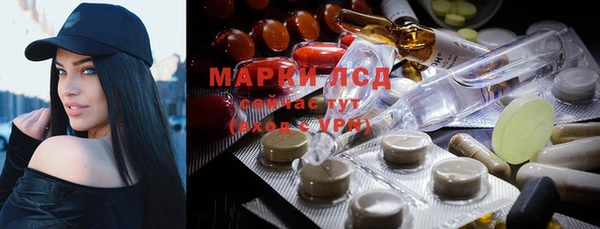 первитин Богданович