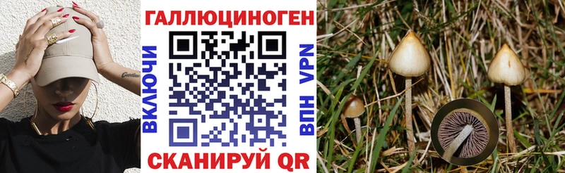 Галлюциногенные грибы Magic Shrooms Орехово-Зуево